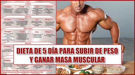 Dieta Para Aumentar Masa Muscular Archivos Músculos Max