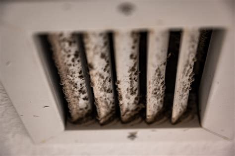 Can Hvac Maintenance Prevent Mold Growth