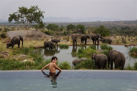 Serengeti Lodge Tanzania Safaris