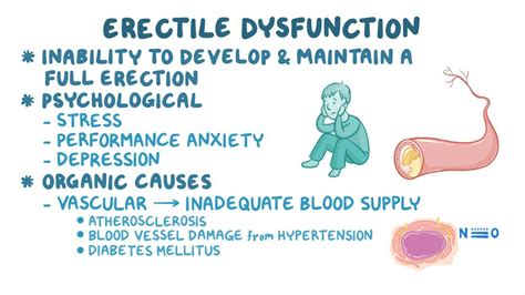 Erectile Dysfunction Video Anatomy And Definition Osmosis
