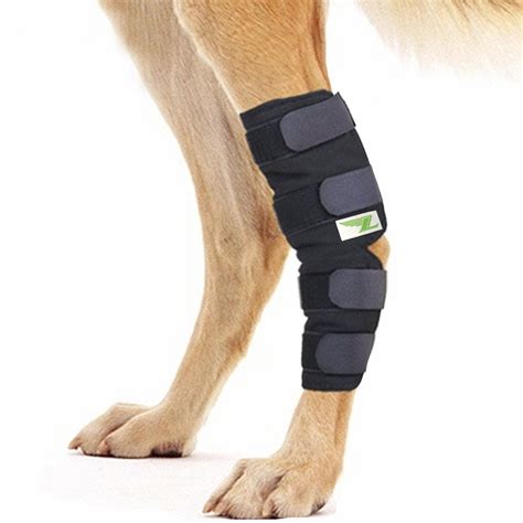 Knee Brace For Dogs Hock Protector Acl Therapeutic Dog Rear Leg 4 Strap