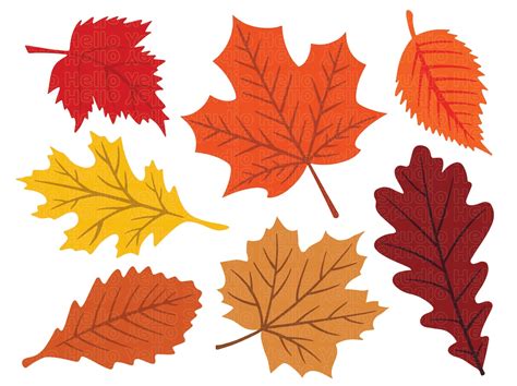 Fall Leaves Svg Fall Svg Fall Leaf Svg Bundle Fall Png Dxf Clipart