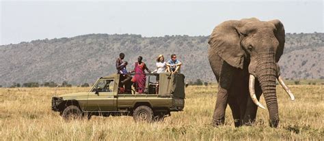 Exclusive Travel Tips For Meru National Park In Kenya