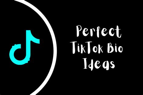 TikTok Bio Ideas: How to Create the Perfect Bio for TikTok