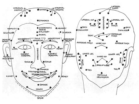 Scalp And Head Reflex Points Acupressure Points Acupressure Therapy