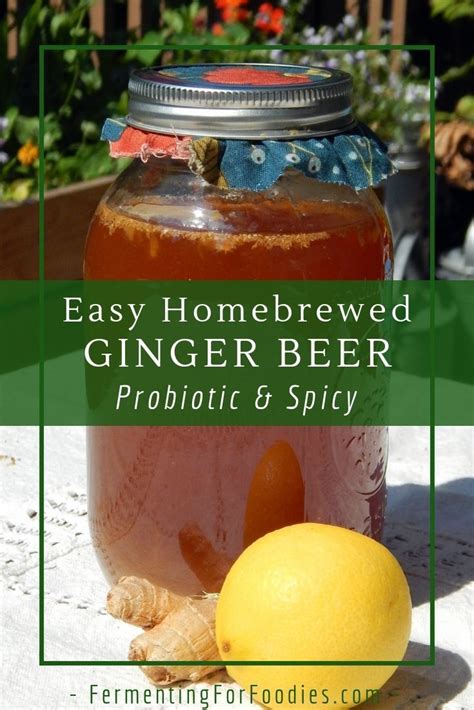 Homemade Ginger Beer Easy And Probiotic Fermenting For Foodies
