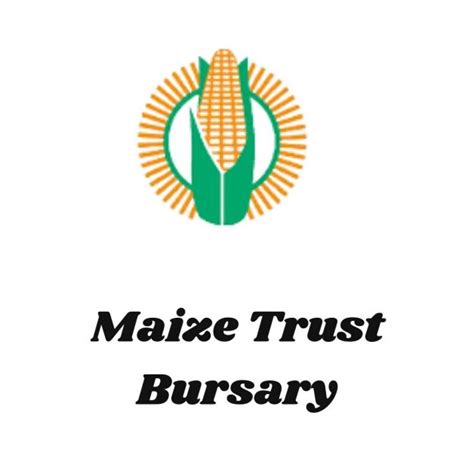 Maize Trust Bursary In South Africa Schoolgistsa