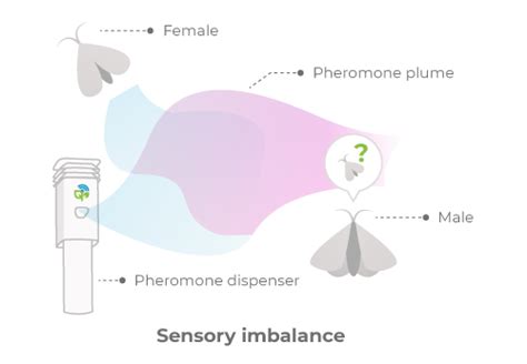 Understanding Pheromones And Mating Disruption