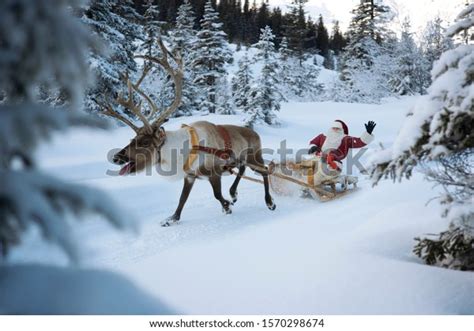 Reindeer Pulling Santa Claus His Sleigh Stock Photo 1570298674