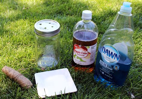 Diy Fly Repellent For Yard At Home Tia Diys