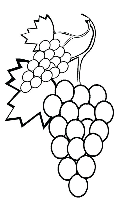 Vine Coloring Pages At Free Printable Colorings