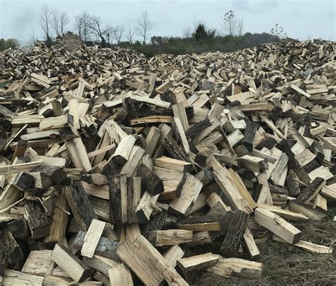 The fruits are smaller and less spiny, if at all. Firewood for Sale Indianapolis | Firewood for Sale Near Me