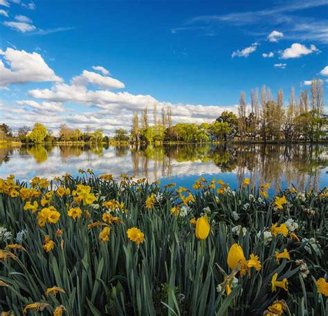 Top Things To Do In Canberra Lonely Planet