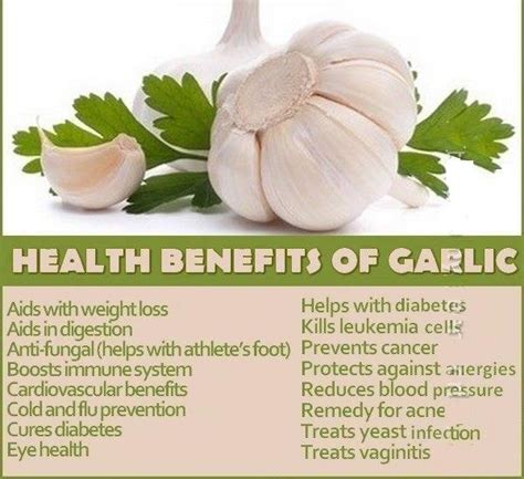 31 Benefits Of Garlic For Skin Hair And Health Garlic Benefits