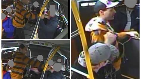 Halifax Transit Passenger Attacked On Bus Cbc News