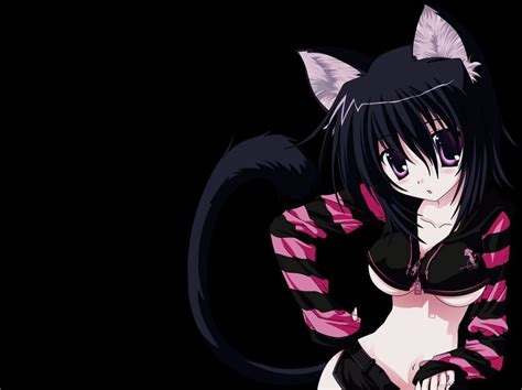 Anime Cat Girl Wallpapers 34 Wallpapers Adorable