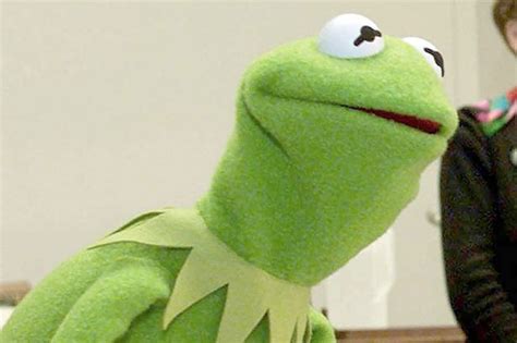 Is This The Real Kermit New Frog Species Has Uncanny Likeness To
