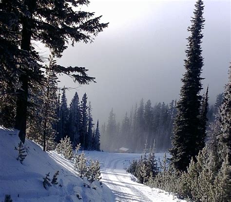 Despite Massive Snowfall Northwest Montana Mountain Snow Pack Only