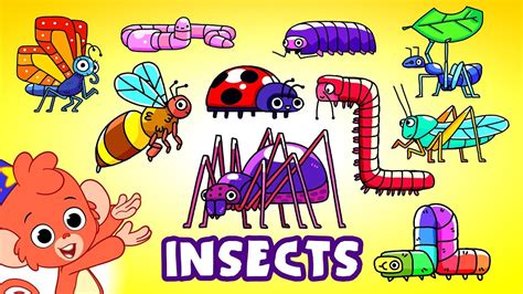 Learn Insects And Bugs For Kids Animals For Kids Club Baboo Youtube