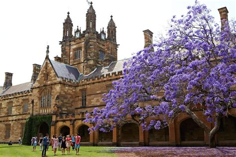University Of Sydney Peringkat Dan Beasiswa Universitas Sydney