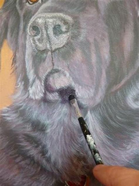 How To Paint Dog Acrylics Step 7 Dog Canvas Painting Dog Portraits
