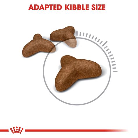 Royal Canin Light Weight Care Dry Cat Food, 1.5kg ...