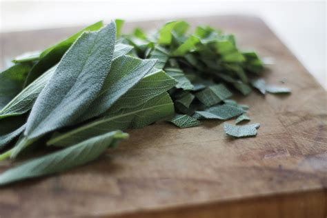 We did not find results for: How to Preserve Fresh Herbs in Olive Oil • The Prairie ...