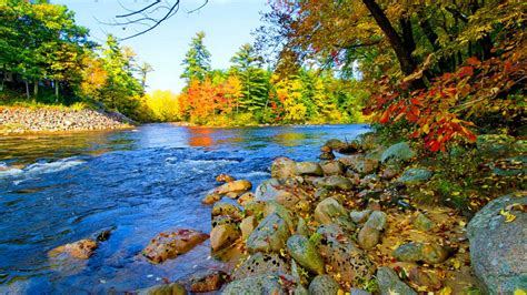 Beautiful Colorful Autumn River Foliage Hd Nature