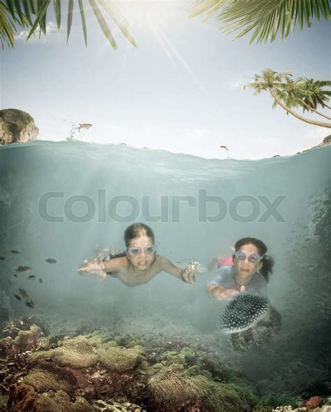 Dykning Aktivitet Akvarium Stock Foto Colourbox
