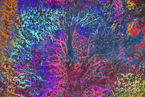Trees Fall Colors 66 Digital Art By Chris Taggart Pixels