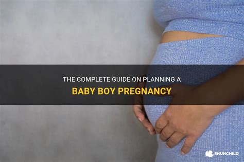 The Complete Guide On Planning A Baby Boy Pregnancy Shunchild
