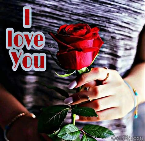 50 Most Beautiful I Love You Roses Images Pics Of Love Roses For Lovers