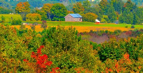 Fall In Love With Fall In Petosky Mi Petoskey Mountains Natural