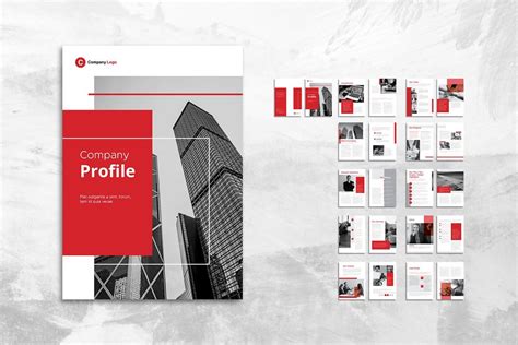 Company Profiles For Professional Company Profile Template Company Profile Design Company