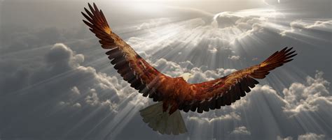 Eagle In Flight Above The Clouds More Better Blessed