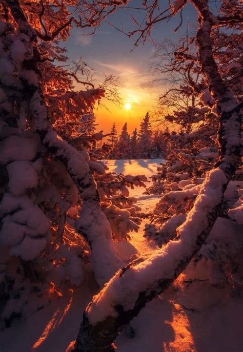 Pin By Mabel Tejera On Postales De Invierno Winter Landscape Winter