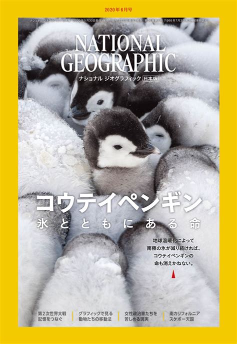ナショナルジオグラフィック日本版 1999年2月号 生物の多様性 滅びゆく動植物・南極の氷の下の生命・森のゾウ・珪藻・アリと植物 自然科学と技術 Sanignacio Gob Mx