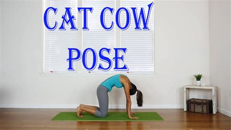 Illustration of a pregnant woman doing yoga. Cat Cow Pose - Yoga - Sleep Breathing Technique - YouTube