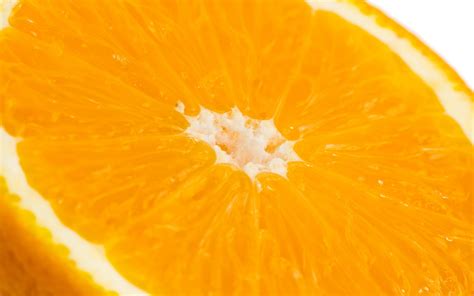 Sliced Orange Citrus Fruit Shown Hd Wallpaper Wallpaper Flare