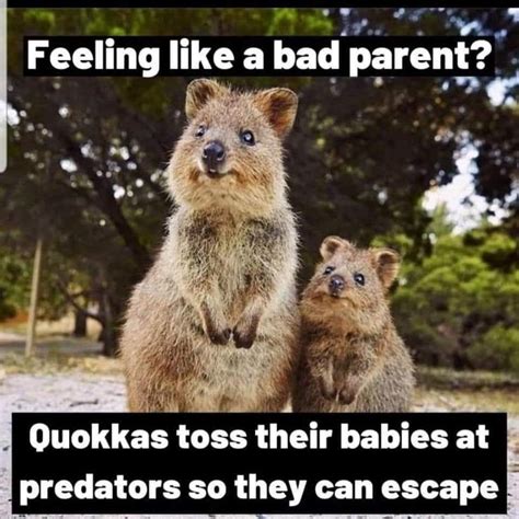 15 Parenting Memes For People Tired Of Their Kids | Bad ...