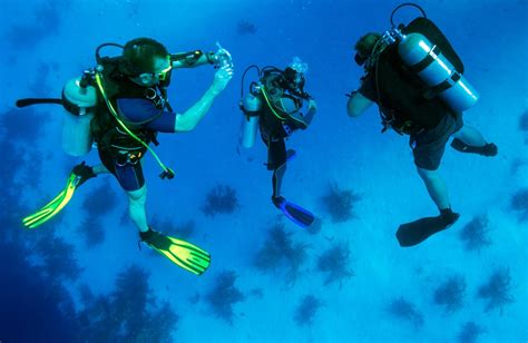 Scuba Diving Equipment List Essential Items For Your Next Dive