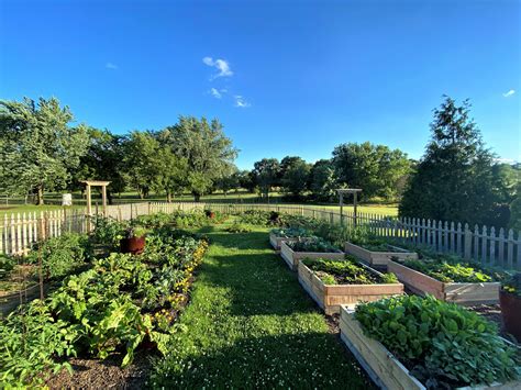 Horticulture Center Shares Tips For Vegetable Gardening Success News