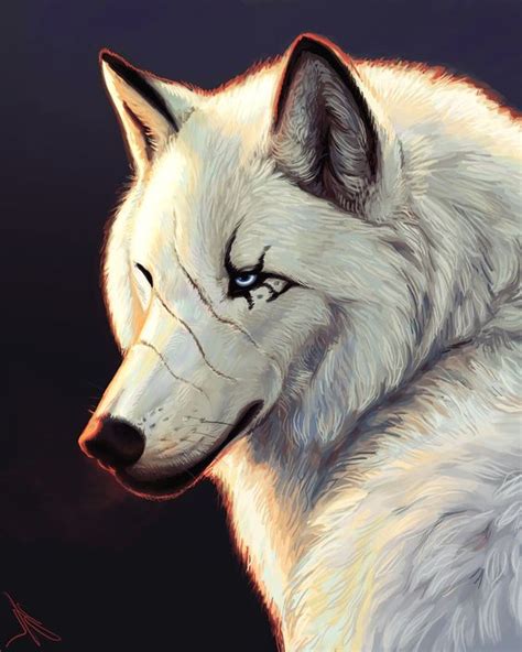 The unofficial white wolf wiki is a collaborative encyclopedia project where you can find out about the worlds and systems created by white wolf, producer of many roleplaying games, board games, card. گالری عکس گرگ سفید با کیفیت HD برای پس زمینه موبایل