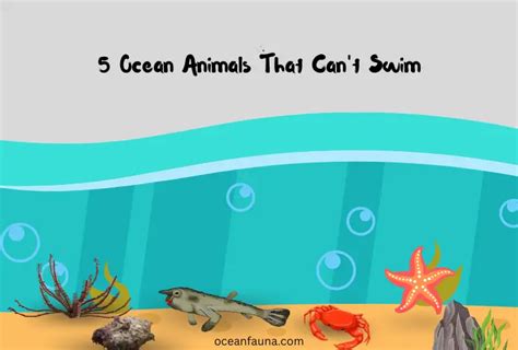 5 Ocean Animals That Cant Swim Details Explained Ocean Fauna