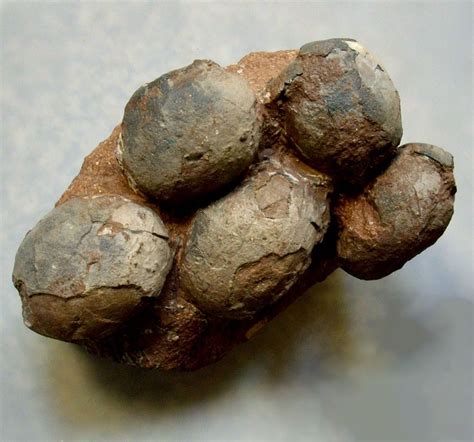 Bigger eggs need thicker shells for support, but. This Week in Dinosaur News: New Dinosaur Egg ...