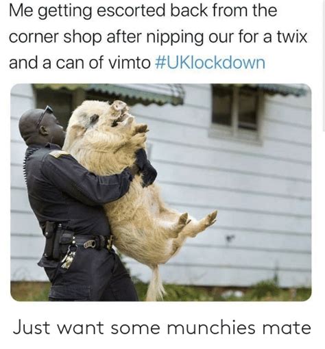 Just Want Some Munchies Mate Munchies Meme On Meme