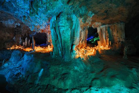 Field Trip To Okinawa In 2022 Limestone Cave Nipca（日本財団 中央アジア・日本人材