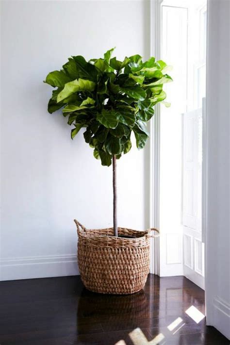 Pflanzen mit hängenden trieben verleihen jedem zimmer das gewisse etwas. 65 Vorschläge für Dekoration im Wohnzimmer! - Archzine.net