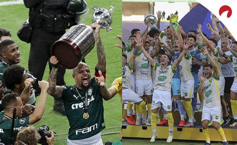 Volverán a enfrentarse defensa y justicia: Defensa y Justicia x Palmeiras - Prognóstico do primeiro ...