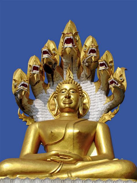 Buddhist Nagas Buddha Thailand Buddha Image